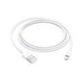 Genuine Apple USB to Lightning 1m Cable