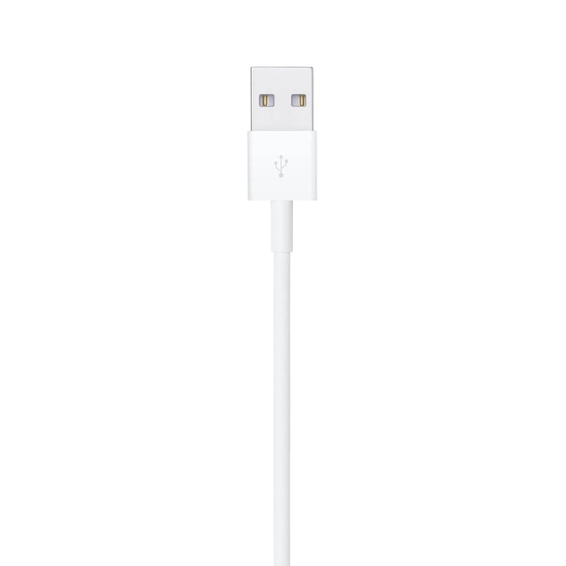 Apple Lightning to USB Cable (1m)